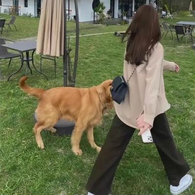 玉响完结篇第三部:憧